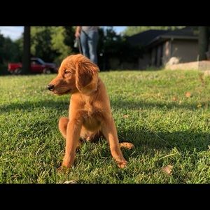 Meet your Posher, Crystal